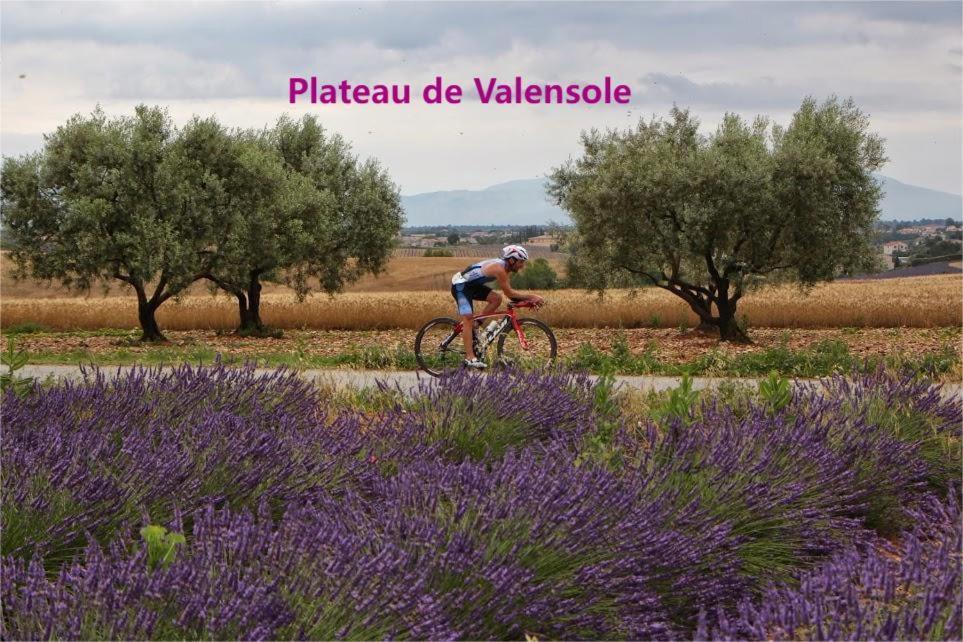 Charmant T3 Avec Piscine Digne-les-Bains ภายนอก รูปภาพ